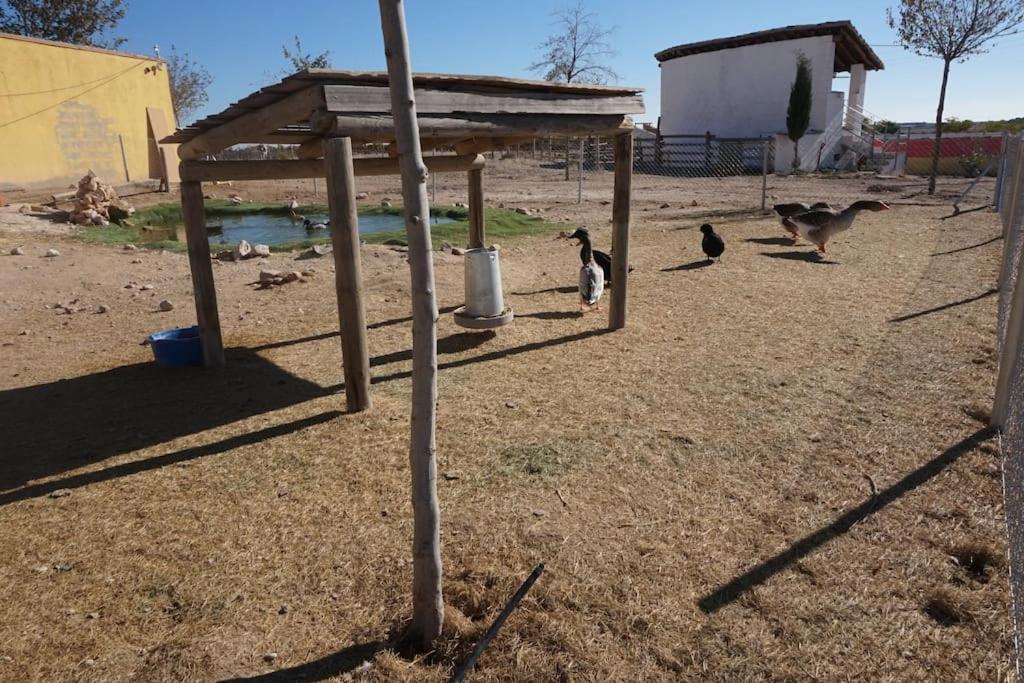 Finca La Caprichosa De Dancos Lillo Exterior foto